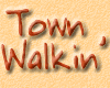 �X�Ԃ�Townwalkin'